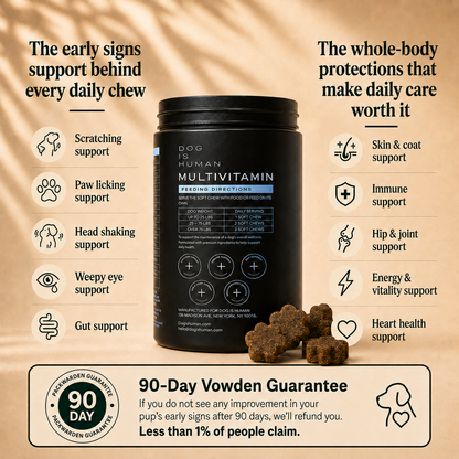 Daily Comfort Protection System