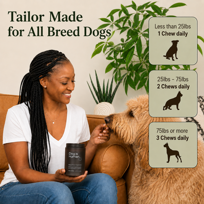 Vowden Daily Comfort Protection System weight-based daily soft chew guide for small, medium, and large dogs